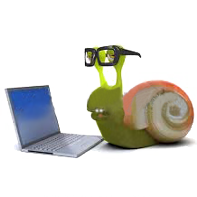 slug